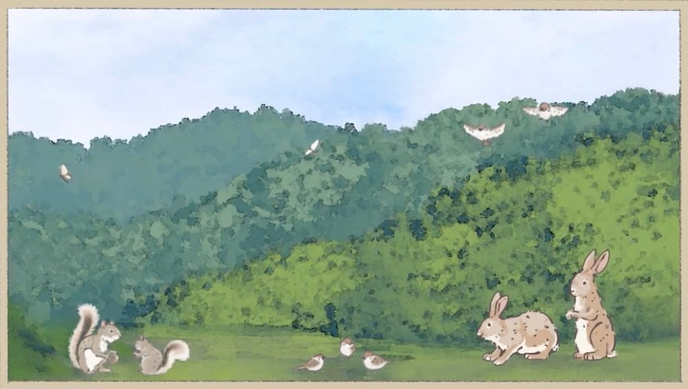 山の窓
