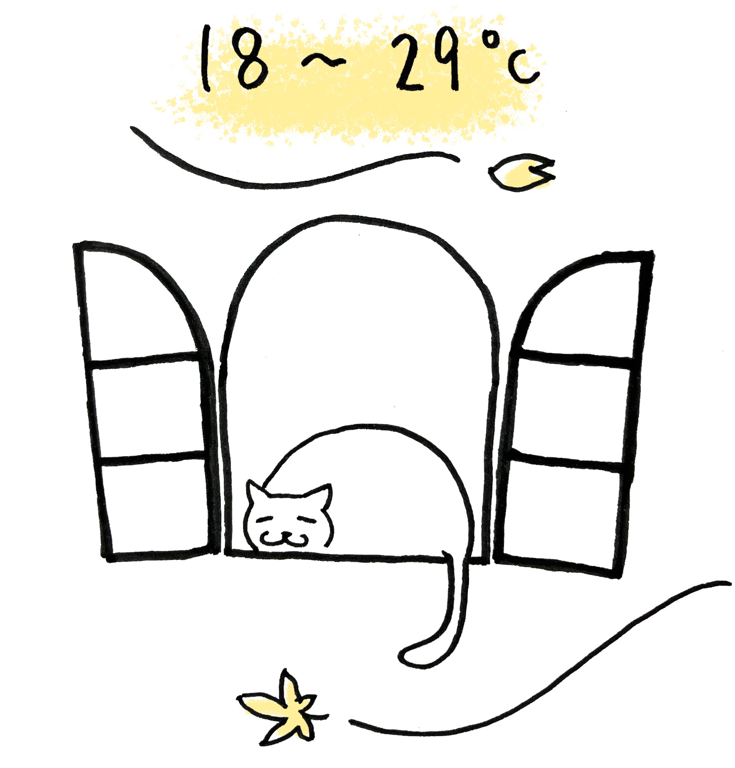 05+